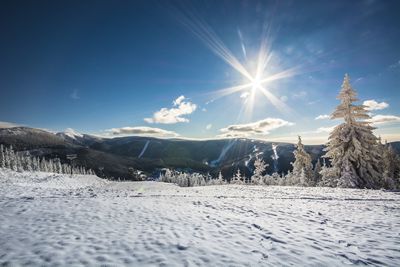 Nahledová fotka kategorie